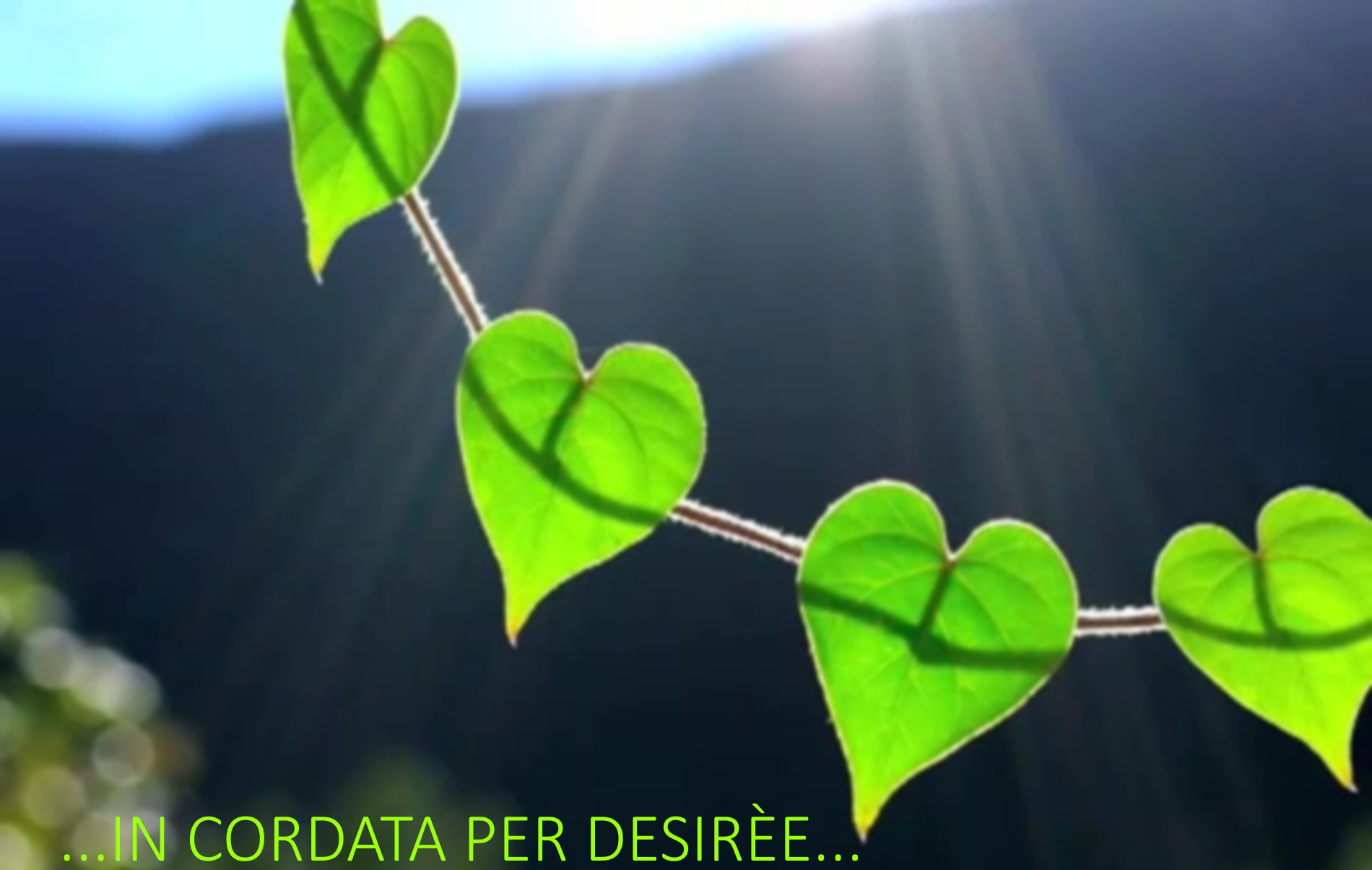 Iniziativa In cordata per Desirèe - click per leggere bene cosa faremo tutti insieme!
